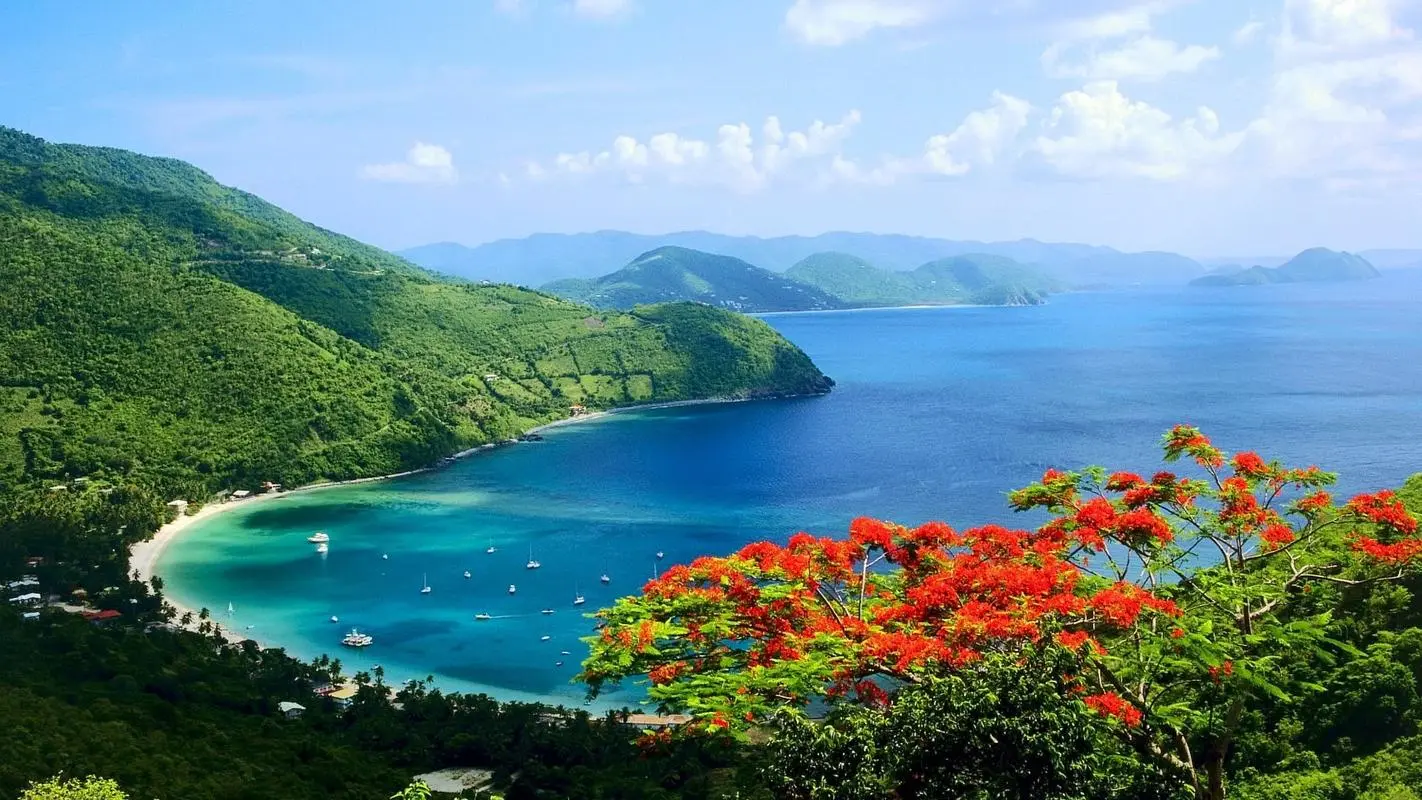 网络化节能高性能